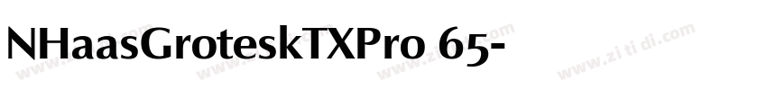 NHaasGroteskTXPro 65字体转换